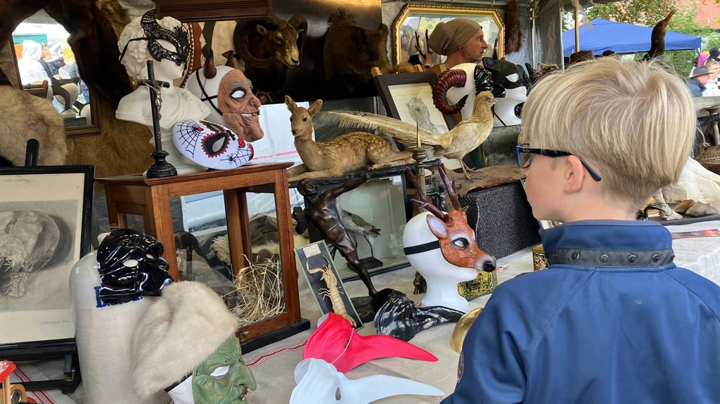 Es gibt allerhand Kurioses zu entdecken.