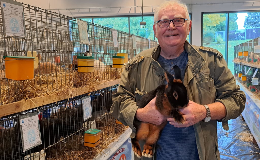 Seit mehr als drei Jahrzehnten züchtet Hartmut Kronberg schon Lohkaninchen. Für seine Tiere hat er bereits viele Auszeichnungen erhalten.