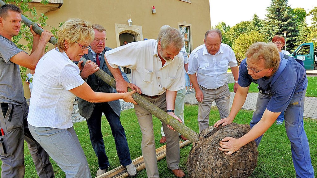 Die Bürgermeister der bisher eigenständigen Gemeinden und Heidrun Meyer pflanzen 2009 zur Gründung der Stadt Seeland gemeinsam einen Baum.