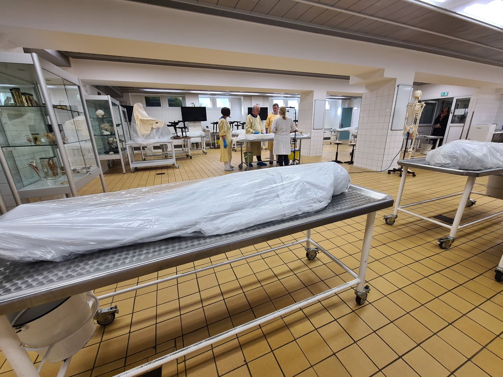 Im großen Anatomiesaal der medizinischen Fakultät an der Magdeburger Universität wird Rückenmuskulatur eines Körperspenders präpariert.