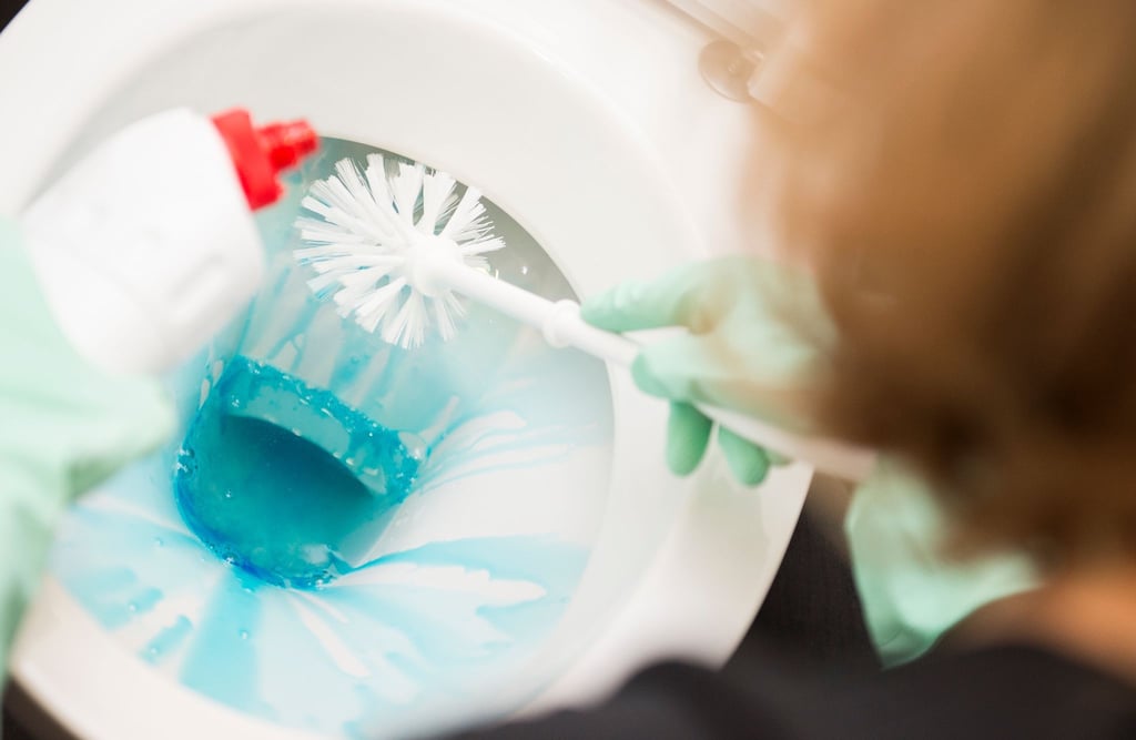 Mit Schutzhandschuhen und Desinfektionsmittel wird das WC gründlich gereinigt, um die Ausbreitung von Keimen bei ansteckenden Infektionen zu verhindern.