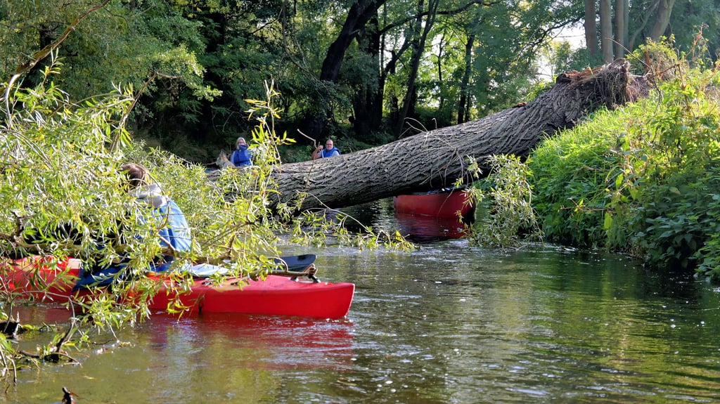 Um an diesem querliegenden Baum vorbeizukommen, ist schon einiges an Können bei den Paddlern gefragt.