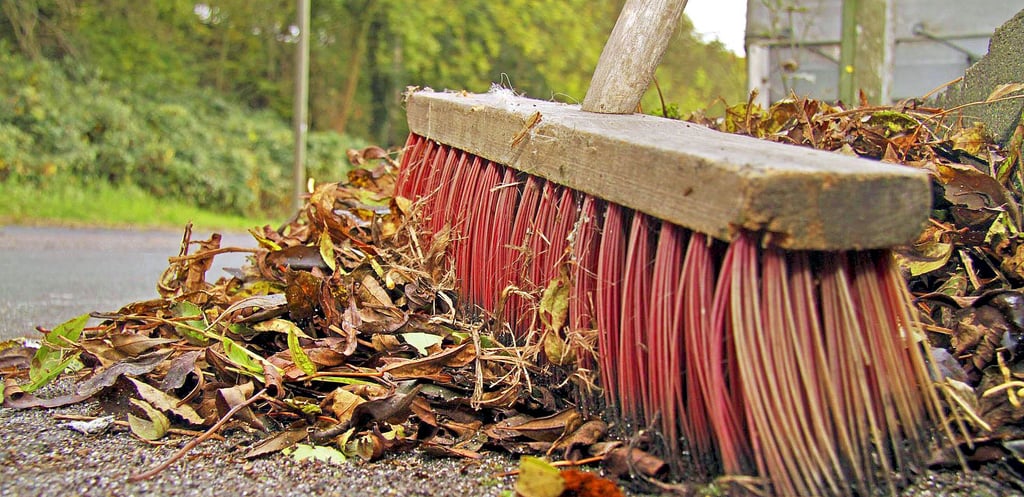 Rund um die neue Tonkuhle findet eine große Herbstputzaktion statt.