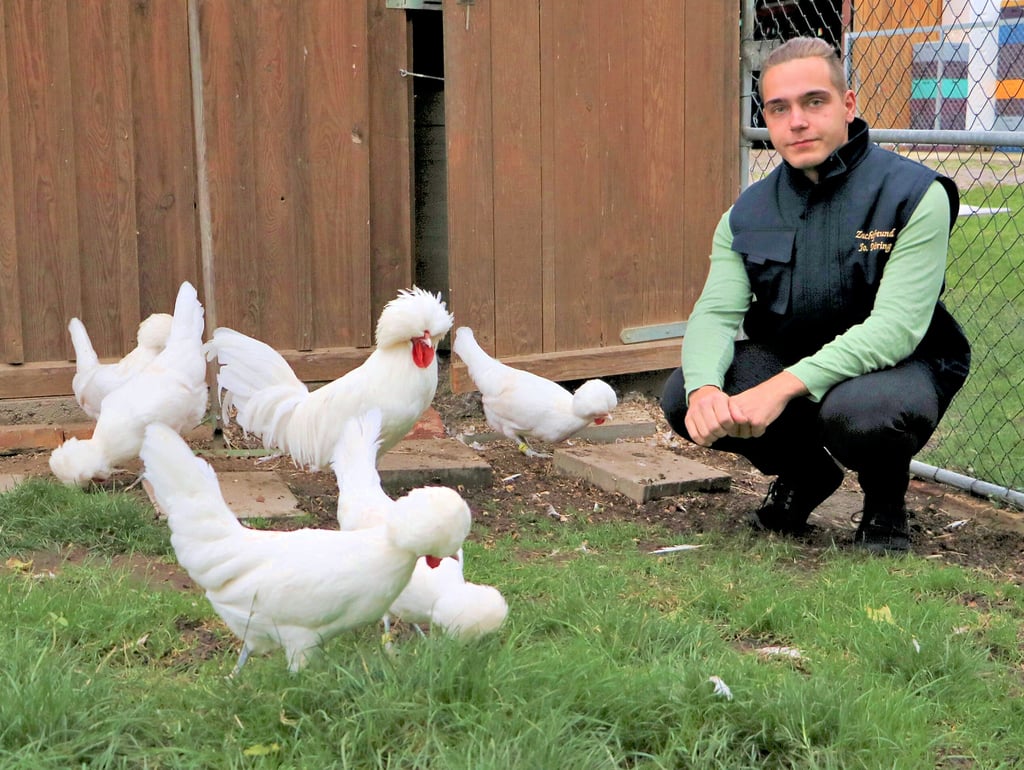 Johannes Döring züchtet in Plossig das Holländer Haubenhuhn. Einige seiner Tiere zeigt er am Wochenende auf der Heideschau in Annaburg.