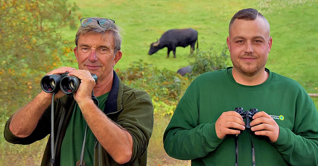 Wolfgang Kampe (l.), Ranger im Biosphärenreservat Drömling und Alexander Ziemann, Landschaftspfleger in der Biosphärenreservat, beobachten die Rastvögel im Anflug, während hinter ihnen die Wasserbüffel grasen.