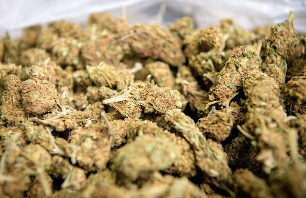 In den Chats ging es allein im Zeitraum von sechs Wochen um den Kauf von 29 Kilo Marihuana.