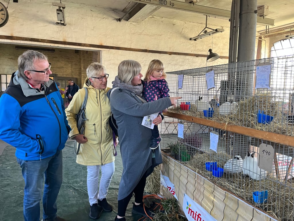 Bernd, Ramona, Sandy und Elisa Gmell waren zur Kleintierschau in Tangerhütte gekommen. Über die Größe der Tiere, die am schönsten sind, gibt es noch Gesprächsbedarf. Elisa mochte die kleinen Farbenzwerge (russenfarbig) gern, die Erwachsenen setzen für die Selbstversorgung eher auf Deutsche Widder.