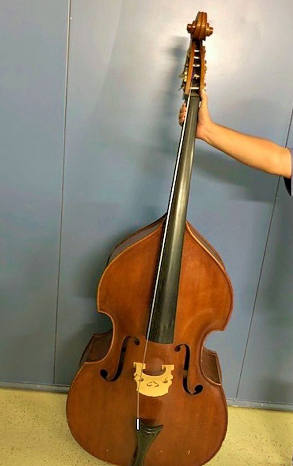 Der Kontrabass von Rubner wird versteigert.