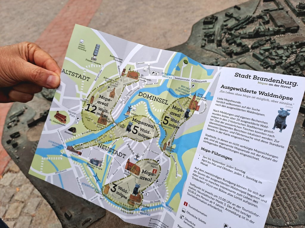 Ein Stadtplan zeigt auf, wo Waldmops-Skulpturen in Loriots Geburtsstadt Brandenburg an der Havel stehen.