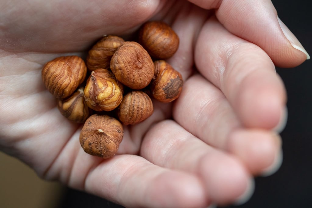 Haselnüsse entfalten durch Rösten ihr ganzes Aroma.