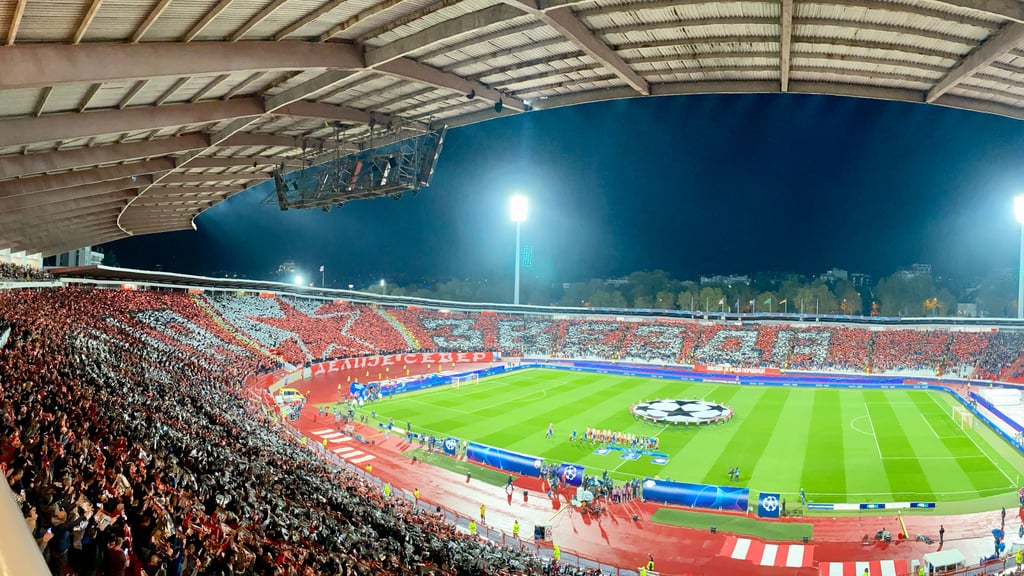 Alle machen mit: Stadionchoreo in Belgrad.