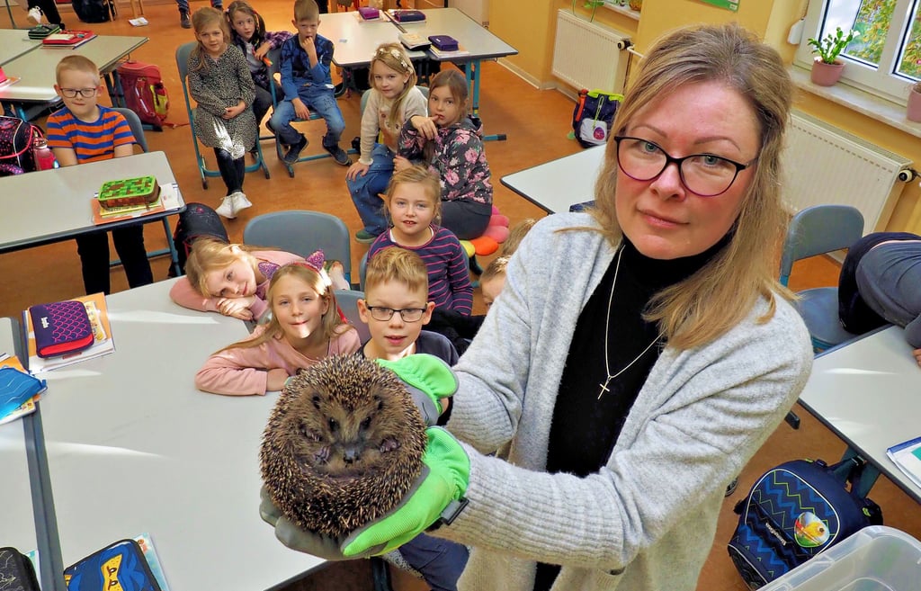 Nur für einen Moment holte Peggy Matzelt den schlummernden Igel aus seiner Box und zeigte ihn den Mädchen und Jungen in Bühne.