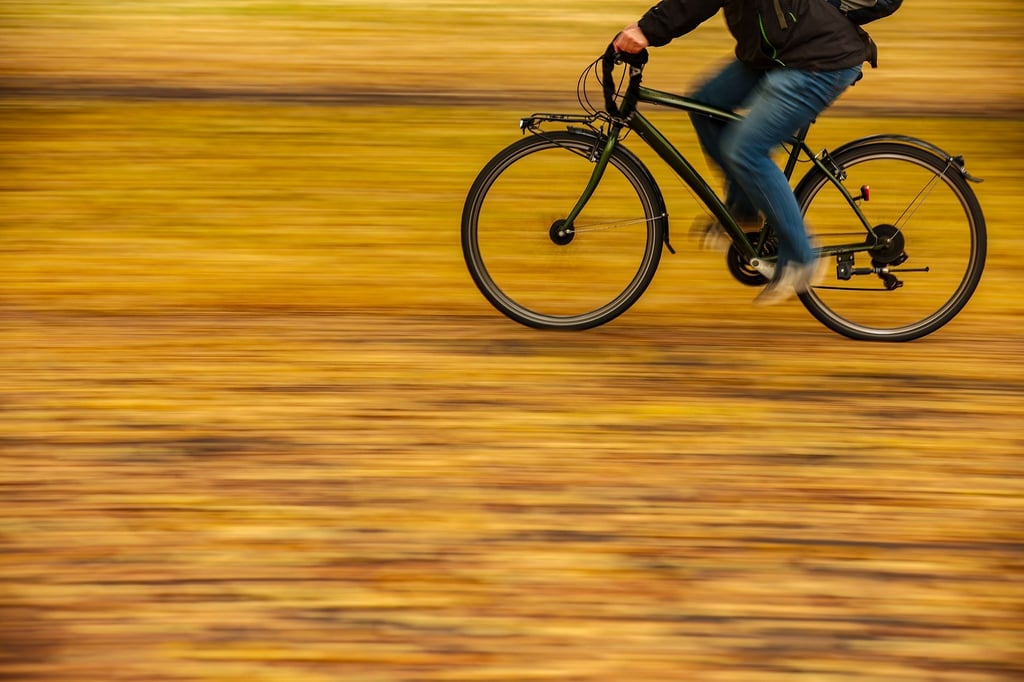 Ein Mann fährt mit dem Fahrrad auf einer mit bunten Herbstblättern bedeckten Straße.