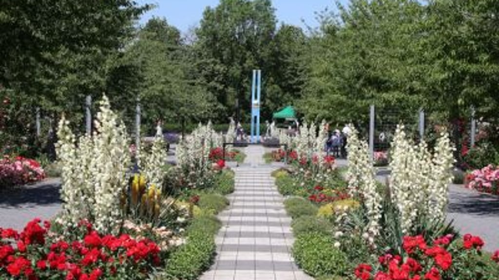 Symbolfoto - Blick ins Europa-Rosarium Sangerhausen
