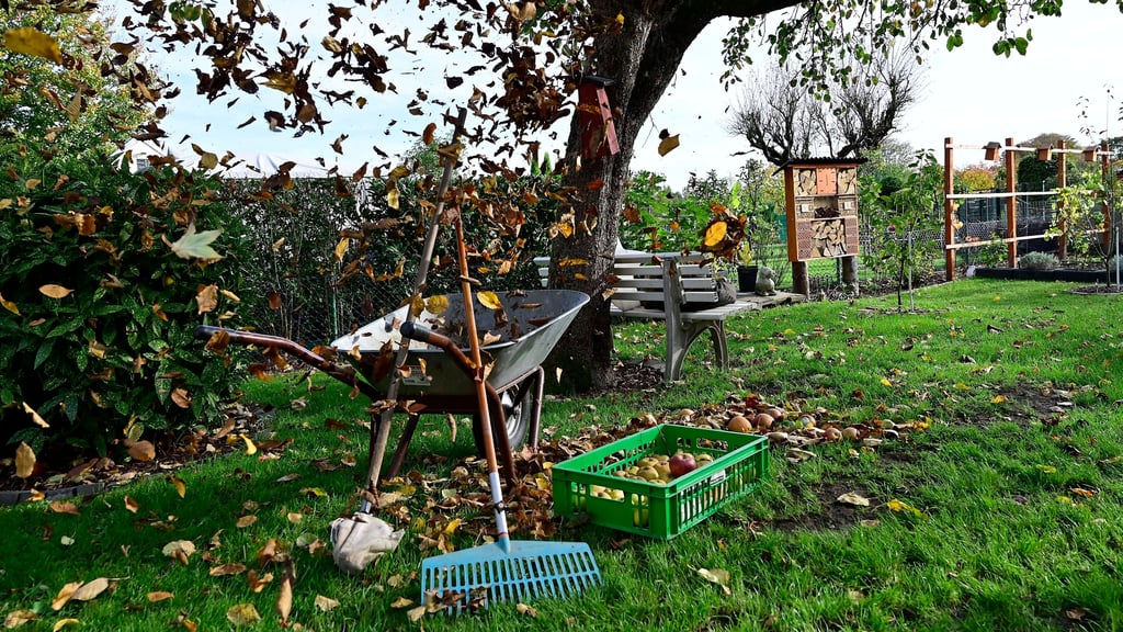 Bevor der Winter einbricht, gibt es im Garten noch viel zu tun.