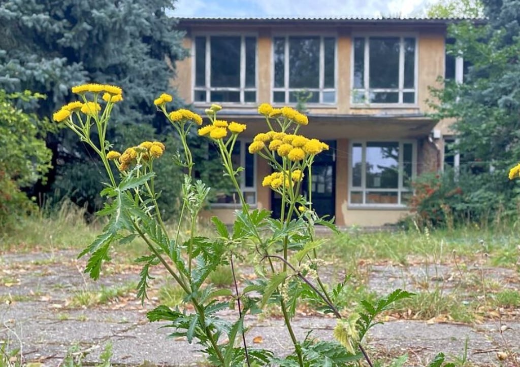 Das leerstehende Schulgebäude am Loburger Triftweg. Foto: