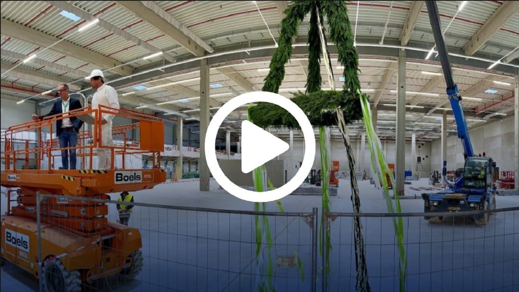 Mit einem Kran wurde der Kranz für das Richtfest zur Decke in einer der Hallen gezogen.