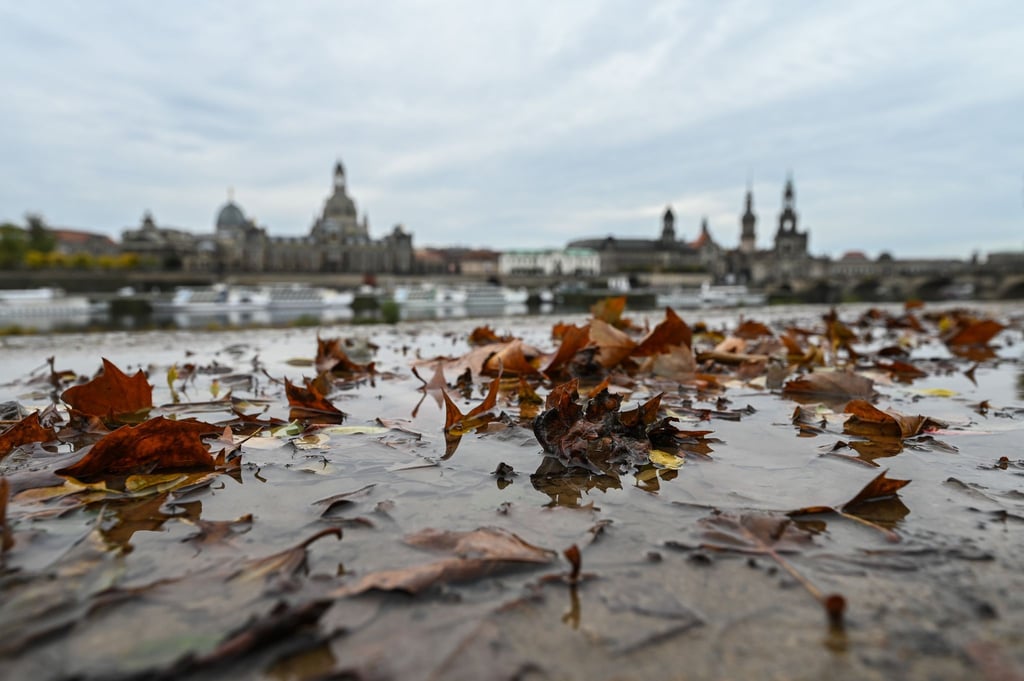 Laub liegt am Königsufer gegenüber der Altstadt an der Elbe.