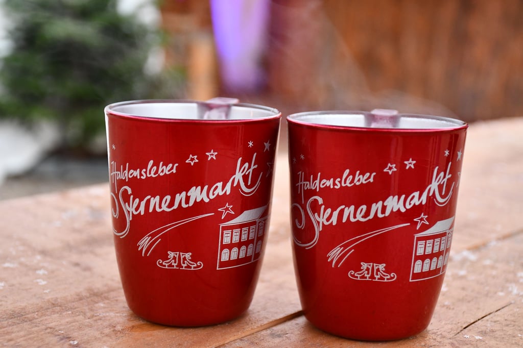 Für Musik auf dem Sternenmarkt in Haldensleben verlangte die Gema 2022 mehr als 12.000 Euro.