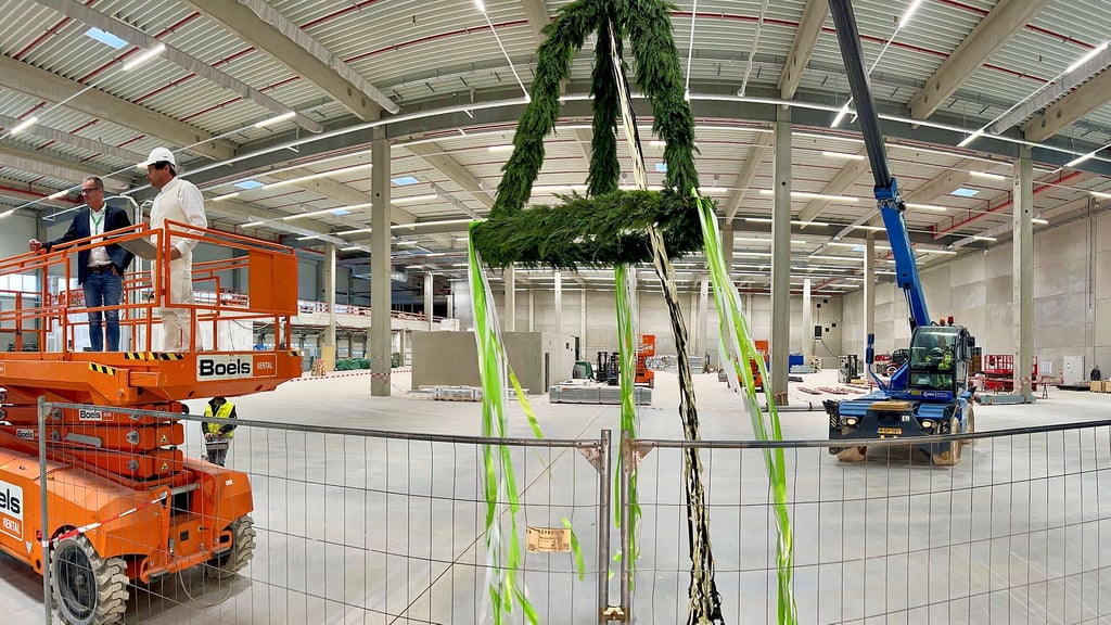 Mit einem Kran wurde der Kranz für das Richtfest zur Decke in einer der Hallen gezogen.