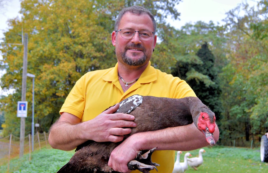Vereinschef Peter Zimmermann mit einem seiner Warzenenten-Erpel