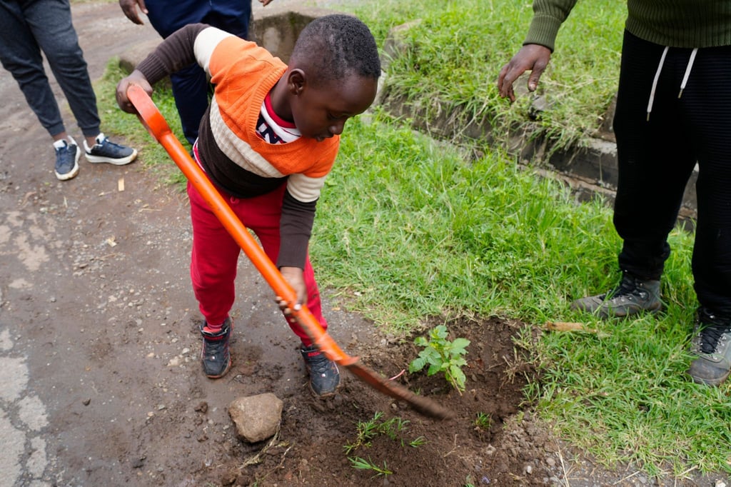 Auch er packt mit an: Der 5-jährige Tzuriel Kipngeno pflanzt in Nairobi einen Casaurina-Baum am Straßenrand.