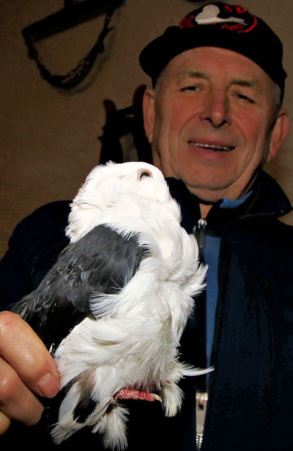 Hansjoachim Gerber mit seiner Taube.