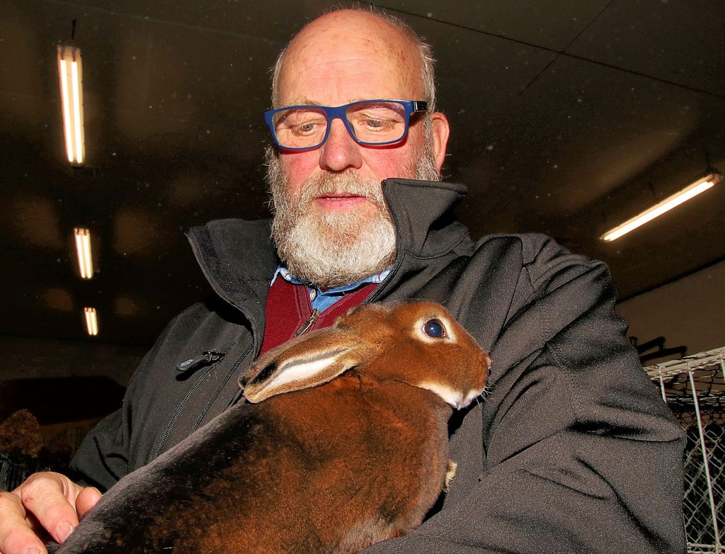 Henry Hagendorf mit seinem Castor Rex bei der Ausstellung der Rassezüchter in Schwarz bei Calbe. Mit dem Fell der Kaninchen schmückten sich einst Könige Kaiser.