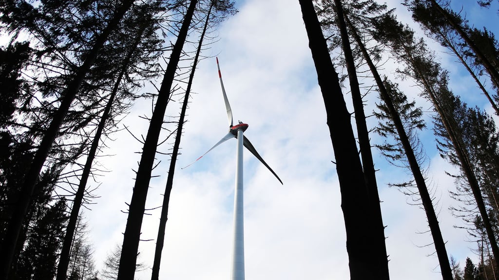 Symbolfoto - In Bennungen sträubt man sich gegen das Aufstellen von Windrädern im Wald.
