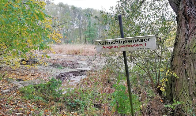 Teich in Quesnitz wird saniert Gleich sieben Teiche auf einen Streich