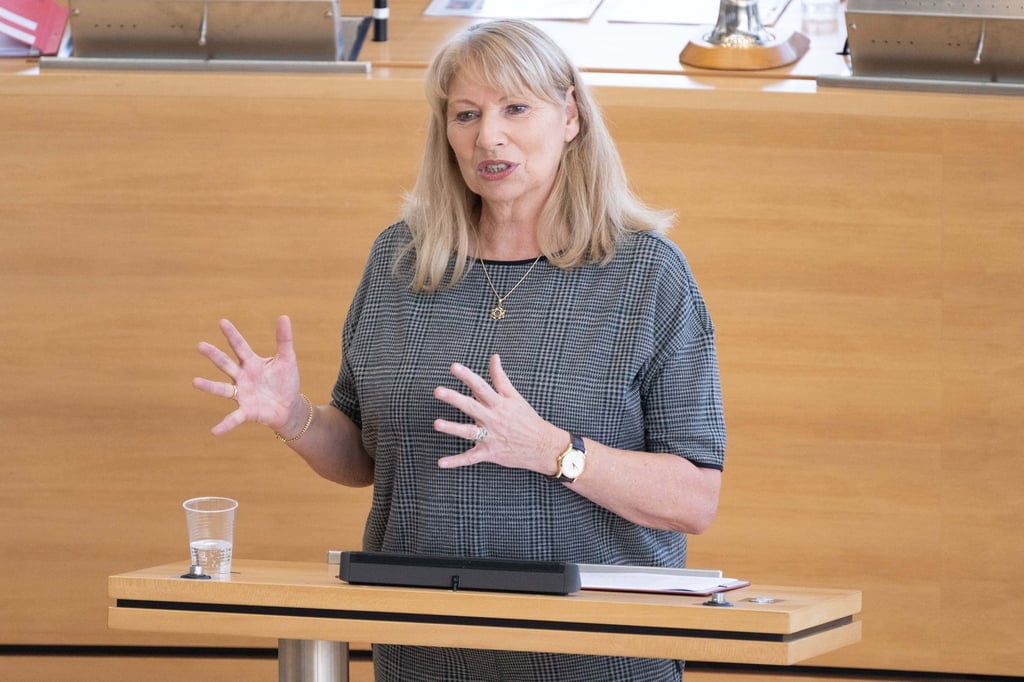 Petra Köpping (SPD), Sozialministerin von Sachsen, spricht im Landtag.