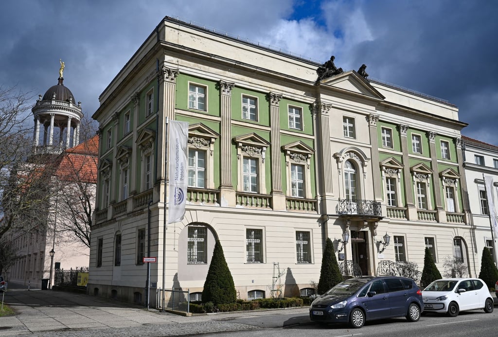Das Naturkundemuseum der Stadt Potsdam.