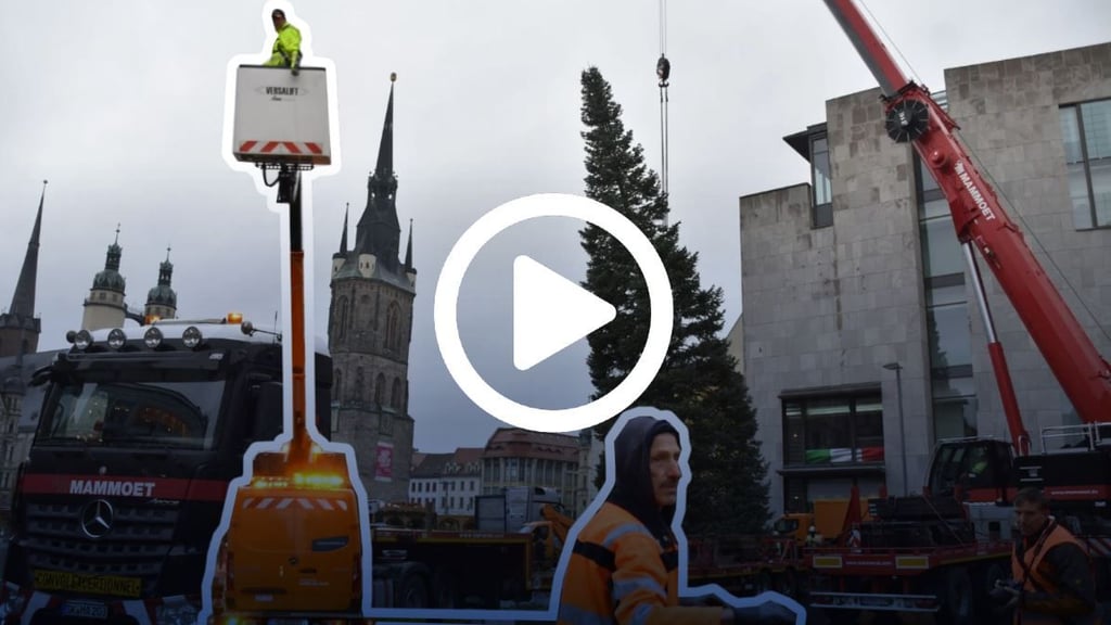 An seinem alten Stadtort im Bereich Dölau/Heide-Nord hängt der Baum für Halles Weihnachtsmarkt am Haken.