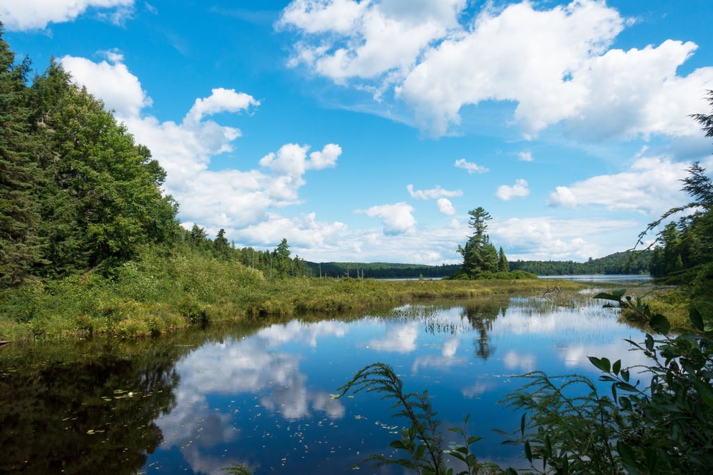 Spiegelzauber im Seenland: Der Haliburton Forest ist mit seiner landschaftlichen Vielfalt auch was fürs Auge - bei Schönwetter in jedem Fall.
