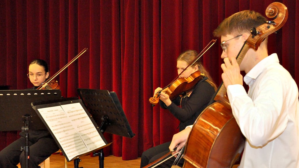 Das Streichquartett der Kreismusikschule eröffnete die Festveranstaltung mit Happy Birthday im Stile verschiedener großer Komponisten.