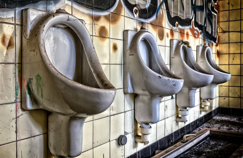 In Sachsen-Anhalt ist der Gang zum Klo besonders teuer. Deutschlandweiter Spitzenreiter in einem aktuellen Ranking wurde Halle an der Saale. Aber auch Magdeburg hat die Nase ganz weit vorn. Symbolbild: