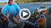 Zum traditionellen Herbstabfischen am Kerner See hatte der Fischerhof am Kerner See am 4. November eingeladen. 11 Fischer haben ein großes Schleppnetz an Land gebracht, um die „diesjährige Ernte“ an Land zu bringen. 