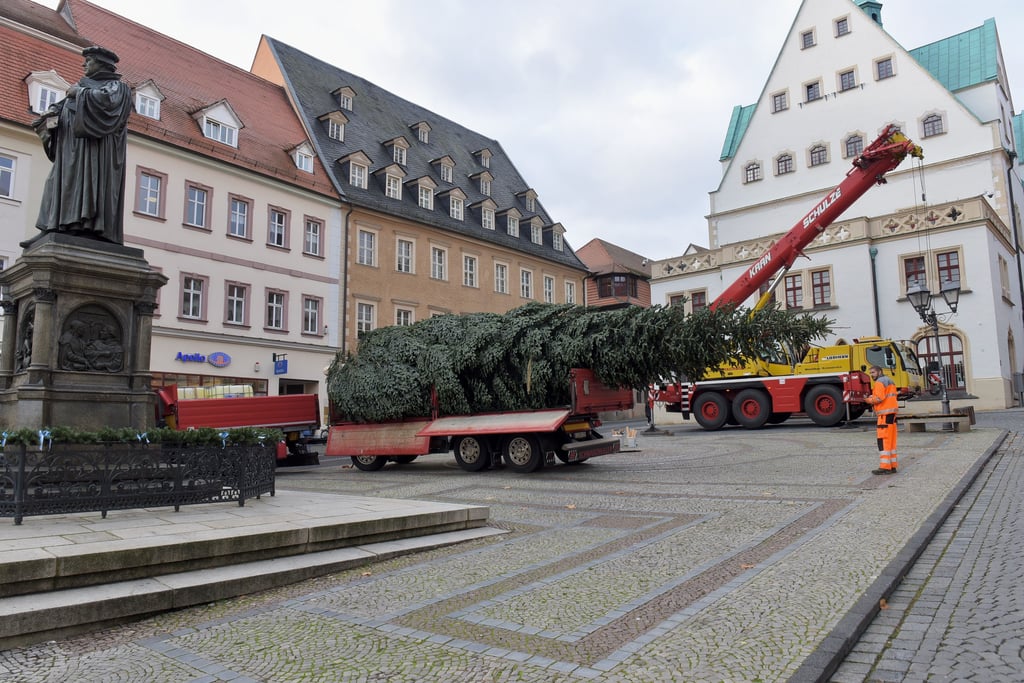 Der Baum für den Eisleber Weihnachtsmarkt wird zum Markt transportiert.