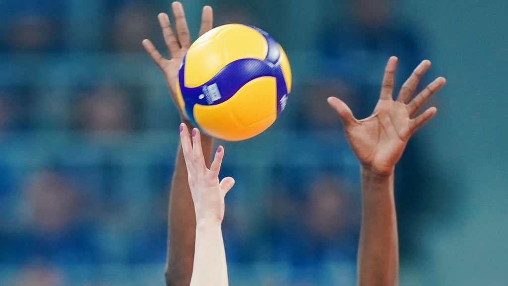 Dresden volleyball players defeat Stuttgart