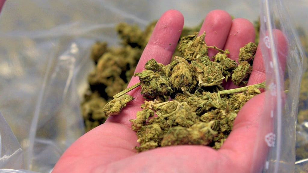 Der Besitz und Erwerb von Marihuana ist nach wie vor strafbar. Deswegen muss sich nun ein junger Mann aus Wolmirstedt vor dem Gericht verantworten.