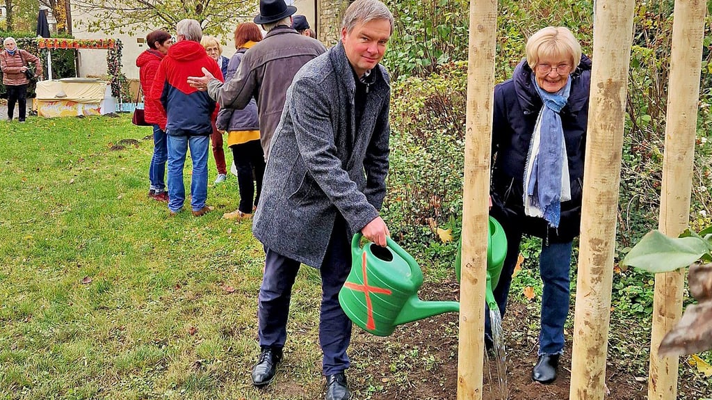 Am Rondell wurde eine Ungarische Eiche für Hildegard Ramdohr, der im September verstorbenen Ascherslebener Ehrenbürgerin, gepflanzt. Oberbürgermeister Steffen Amme und Gabriele Ramdohr gießen den Baum im Rahmen der Herbstpflanzung des Verschönerungsvereins an.