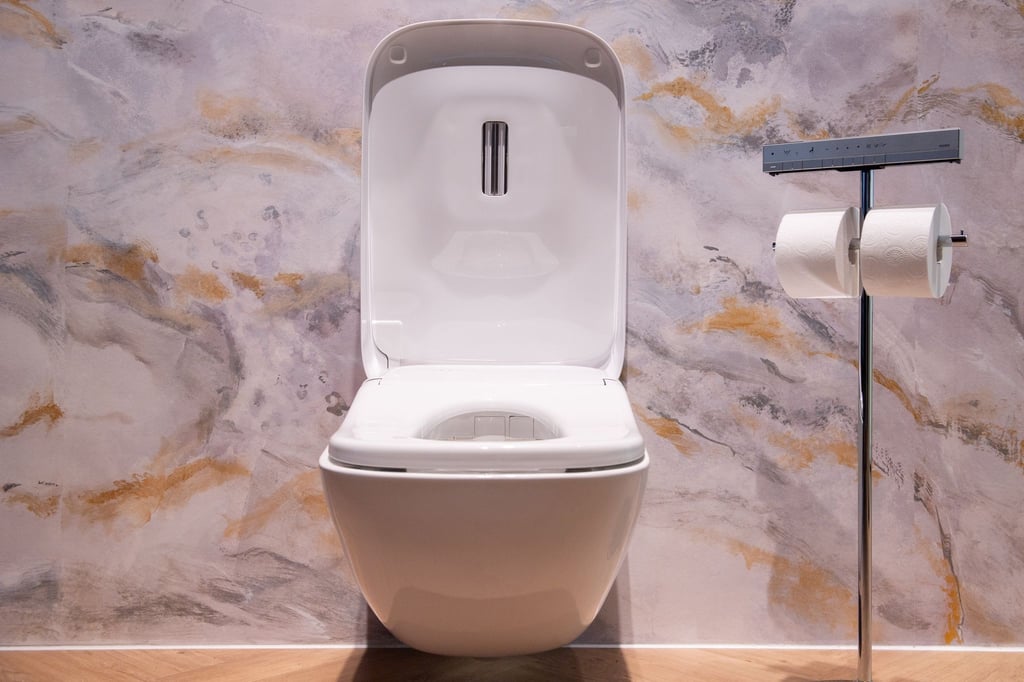 Ein Ort, an dem es sich verweilen lässt: Moderne Toiletten wollen mehr Komfort bieten, so auch dieser Prototyp Neorest WX von Toto.