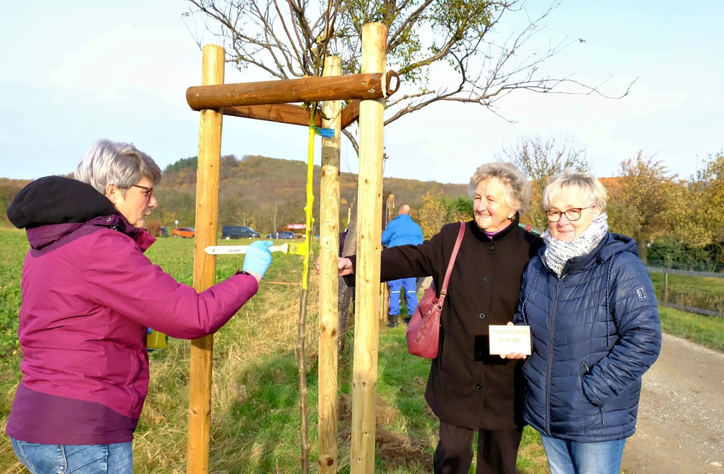 Auf große Resonanz ist die jüngste Baumspendeaktion des Feuerwehr-Fördervereins in Cattenstedt gestoßen. Marina Willim und Waltraud Sobol nahmen hier ihren frisch gepflanzten Apfelbaum in Augenschein, während ihn Christel Pickert (von rechts) mit einem Schutzanstrich versah.