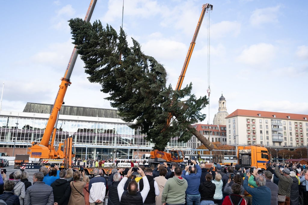Passanten verfolgen das Aufstellen einer 55 Jahre alten Colorado-Tanne auf dem Altmarkt.