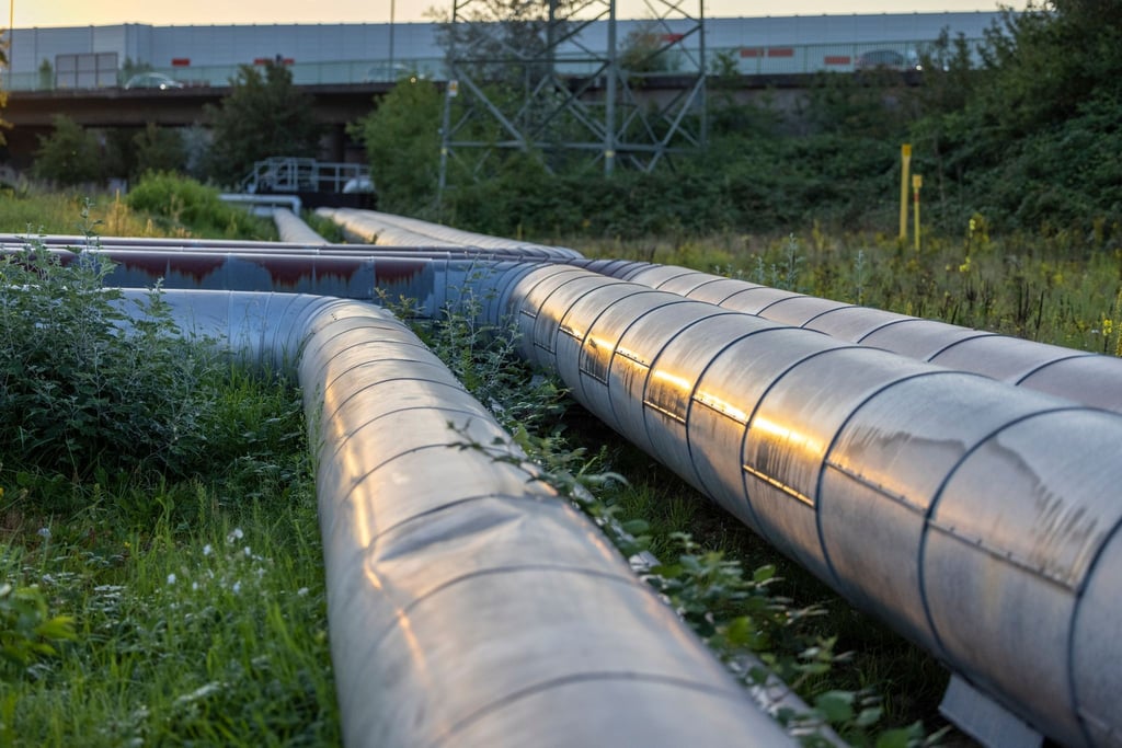 Eon und Hansewerk Natur werden von der Verbraucherzentrale wegen angeblich rechtswidriger Preiserhöhungen verklagt.