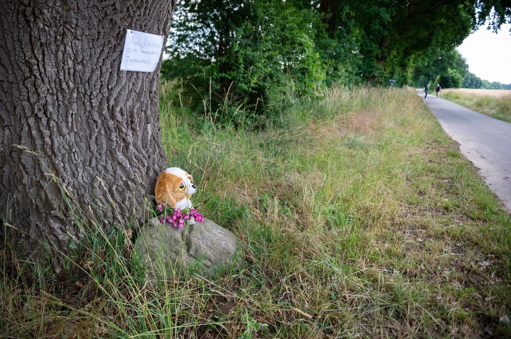 Blumen und ein Kuscheltier liegen an einem Baum nahe der Unfallstelle.