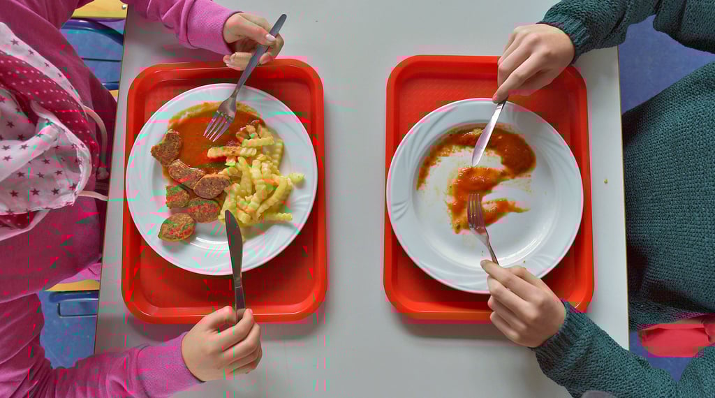 Alle Grundschulen Schönebecks sollen einen einheitlichen Versorger für das Mittagessen bekommen. Daran gibt es Kritik seitens der Eltern.