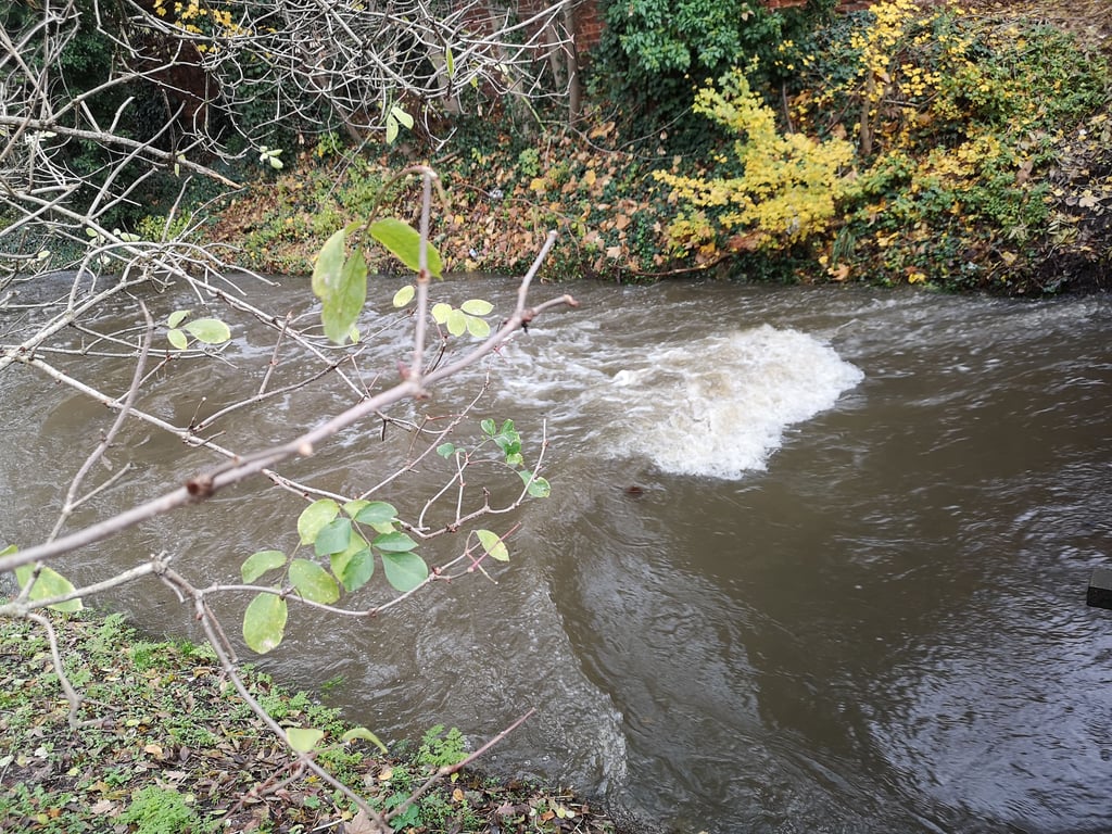 Über die Warn-App Nina ist eine Hochwasserwarnung für den Bereich Salzwedel rausgegeben worden.