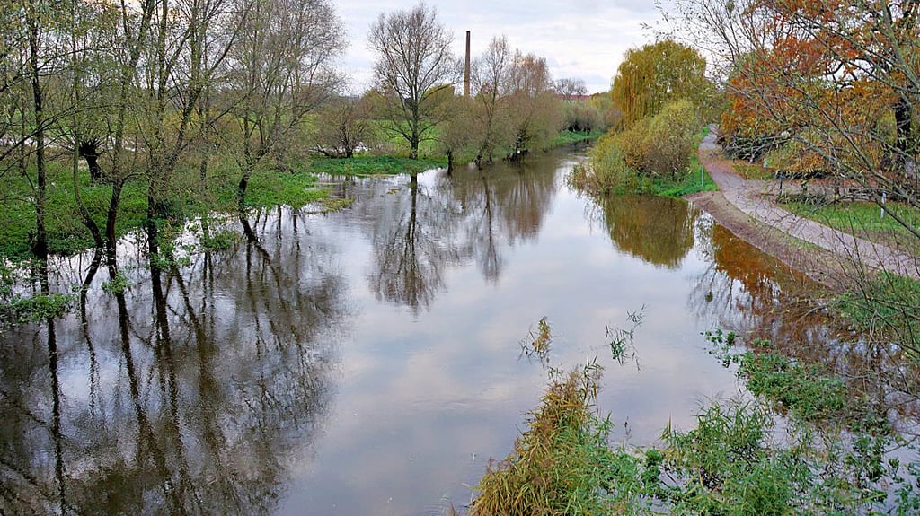 Nach heftigem Dauerregen steigt die Ohre bis an die Ufer.
