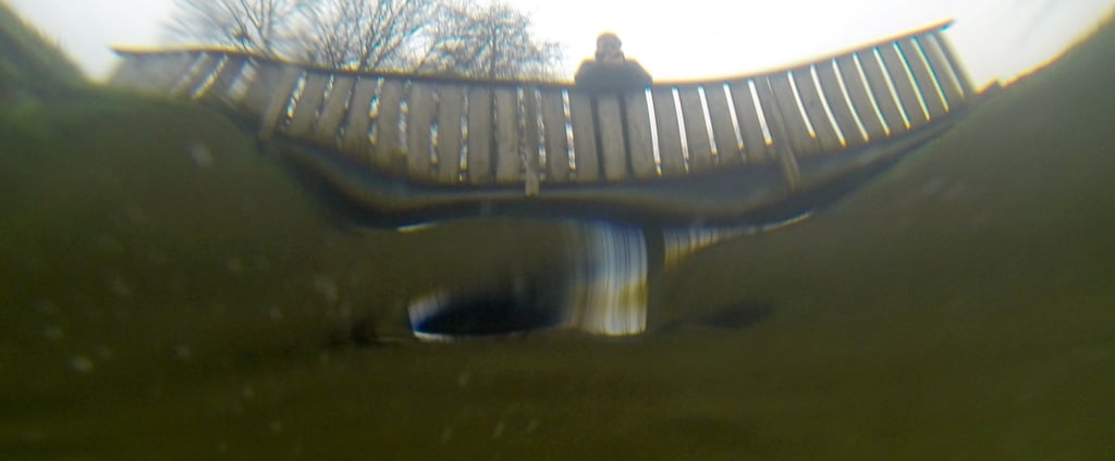 Trübe Brühe: In einem Graben im Altmarkkreis wurde ein Abwasserpilz nachgewiesen. Der Grund ist nun klar.